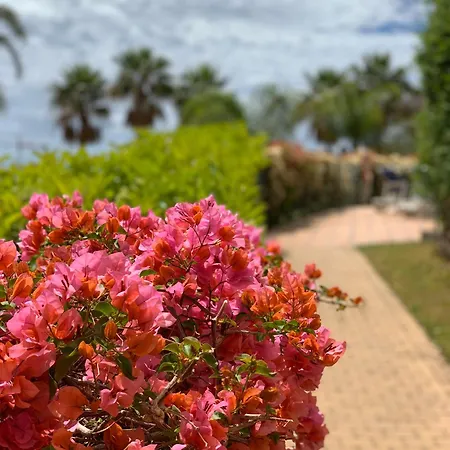 Apartament Your Oasis Of Luxury And Leisure At Gazules Del Sol In Marbella Area - Benahavis Estepona