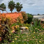 Lägenhet Your Oasis Of Luxury And Leisure At Gazules Del Sol In Marbella Area - Benahavis *