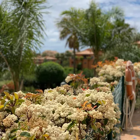 Apartment Your Oasis Of Luxury And Leisure At Gazules Del Sol In Marbella Area - Benahavis Estepona
