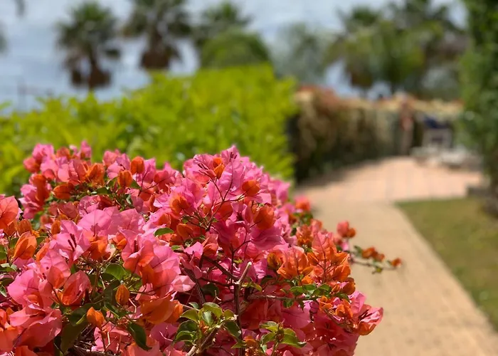 Апартаменты Your Oasis Of Luxury And Leisure At Gazules Del Sol In Marbella Area - Benahavis Эстепона